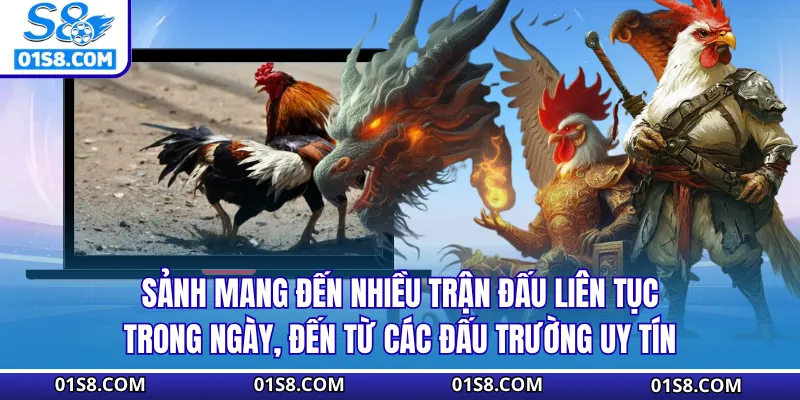 Sảnh mang đến nhiều trận đấu liên tục trong ngày, đến từ các đấu trường uy tín